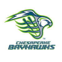 Bayhawks Logo